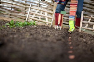 iStock_colorful woman planting seeds