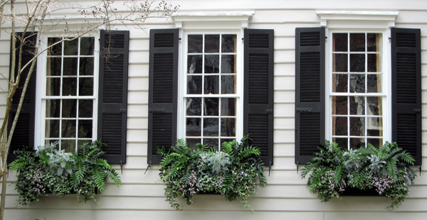 Window Boxes and Black Shutters, Charleston SC
